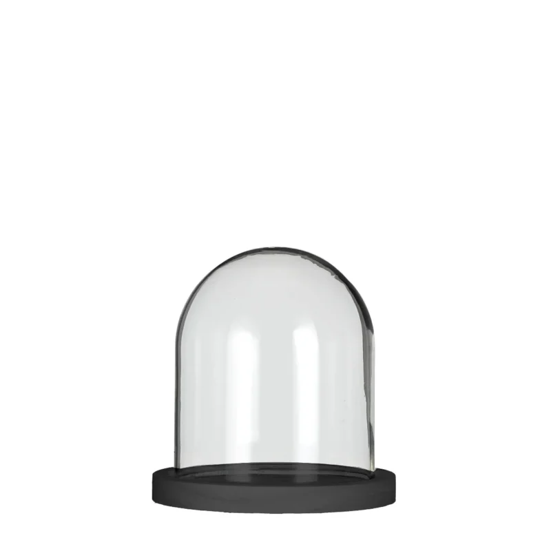 Glass bell jar with black wooden base Ø12cm H: 13cm (1 pcs.)