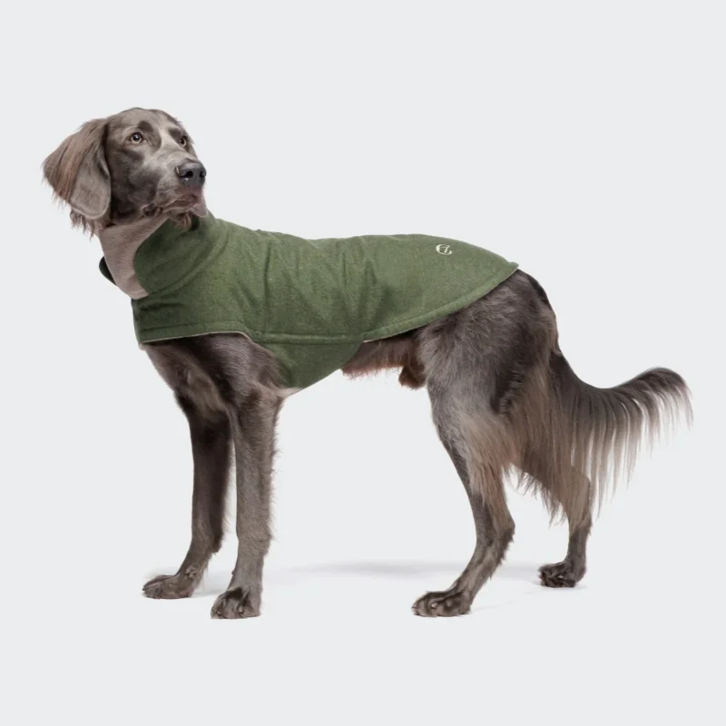 CLOUD7_ Ein großer, langhaariger grauer Hund steht in einem grünen Hundemantel Brooklyn Flannel Fern Green und blickt leicht nach links vor einem schlichten hellgrauen Hintergrund.