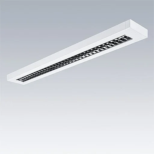 Thorn - Decken - /Wandleuchte LED - Aufputzleuchte PUNCH 3 LV #96635736 840